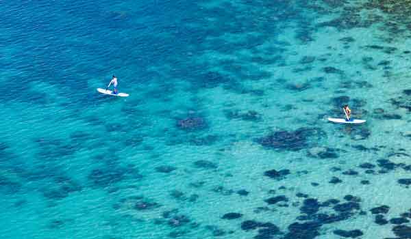  Thiết kế website khách sạn, resort ở Phú Quốc